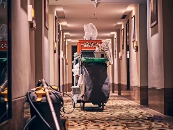 Carpet Cleaning