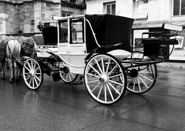 Chariot & Horses Rental